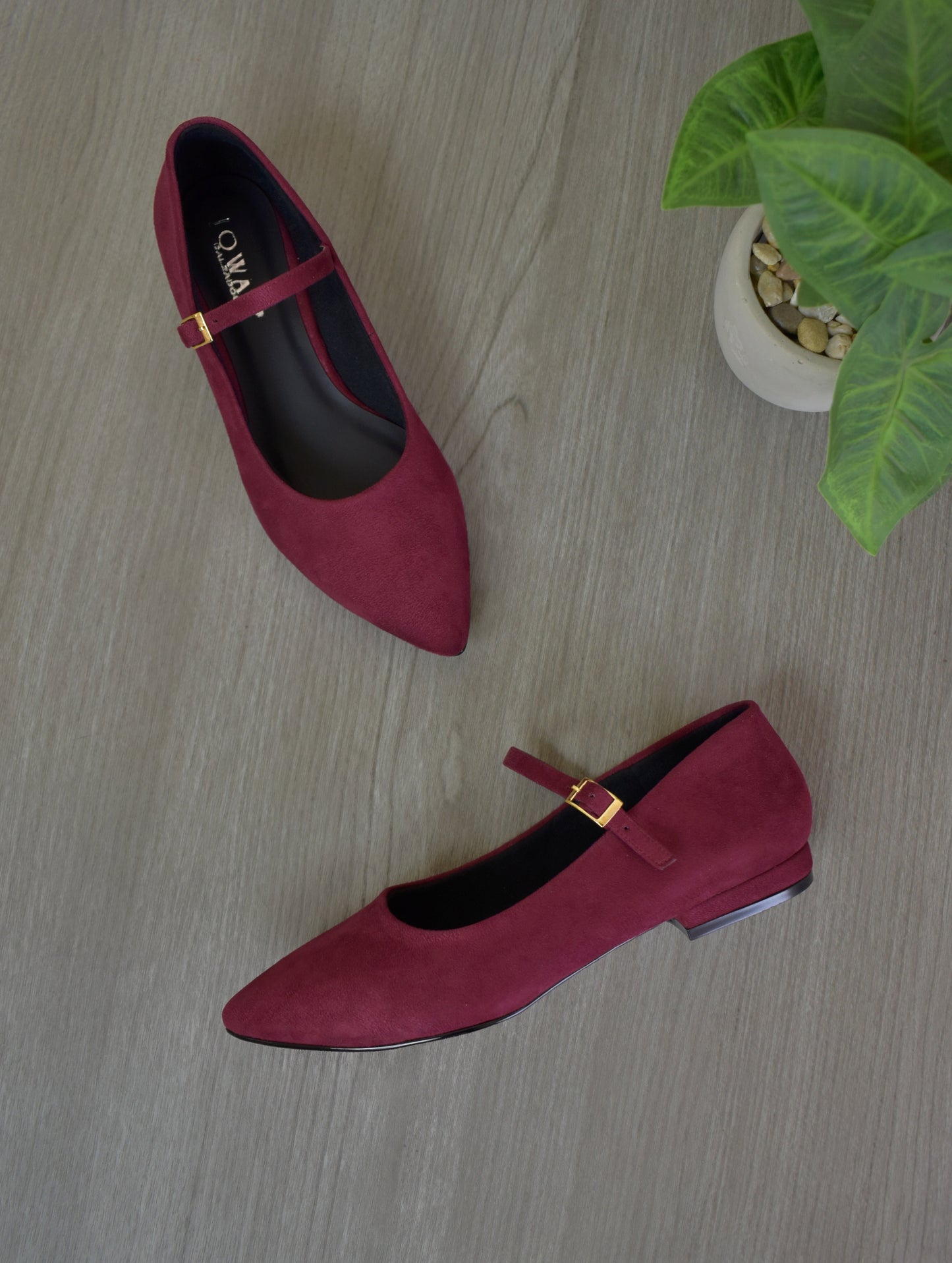 Ballet Flats Marian vino agamuzado